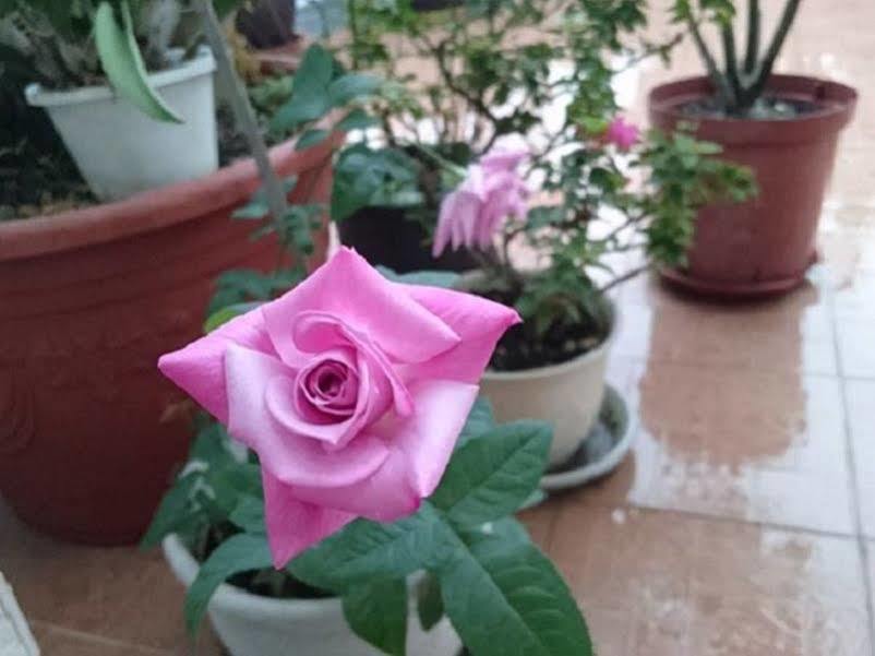 Taitung 2013 Homestay מראה חיצוני תמונה